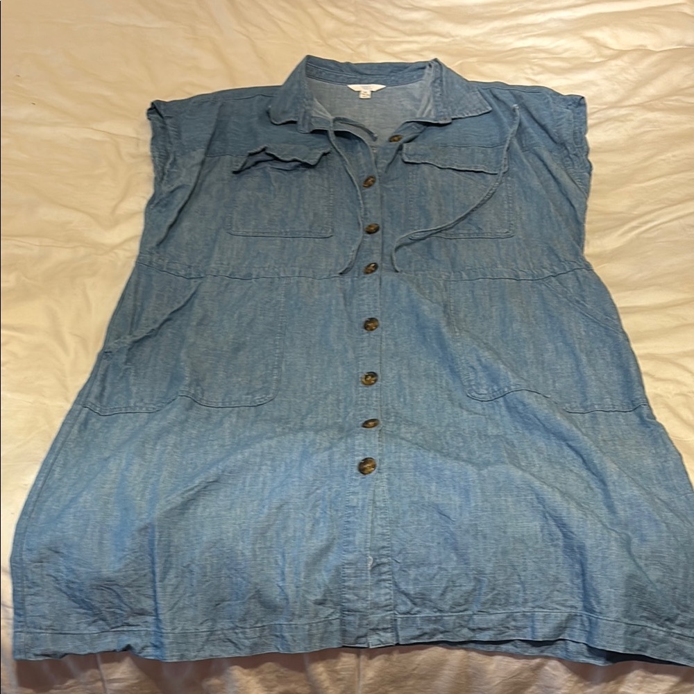 Blue Denim Button-Up Dress